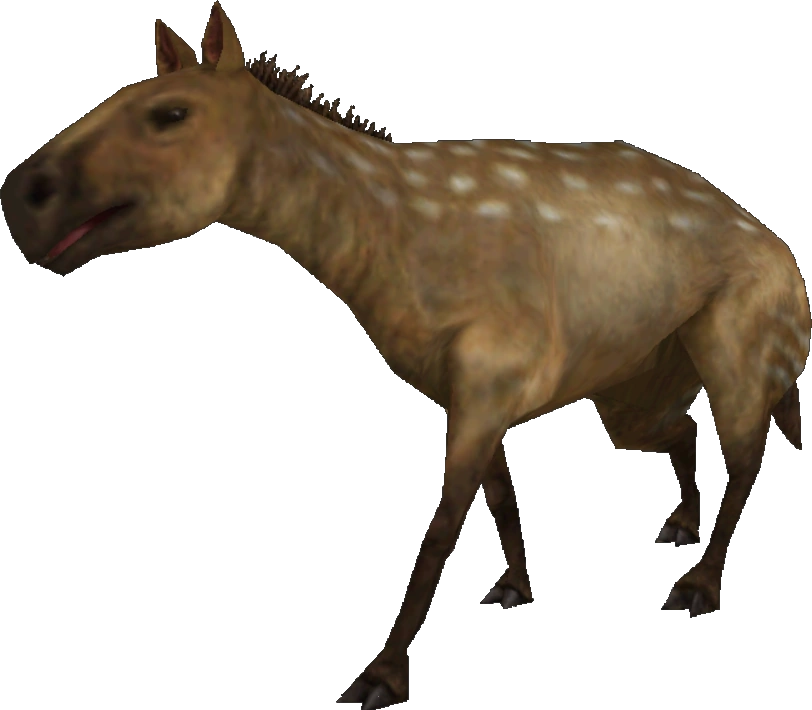 Eohippus (FMM UV-32) Blank Meme Template