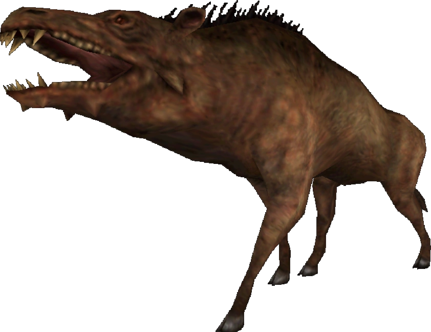 Entelodon (FMM UV-32) Blank Meme Template