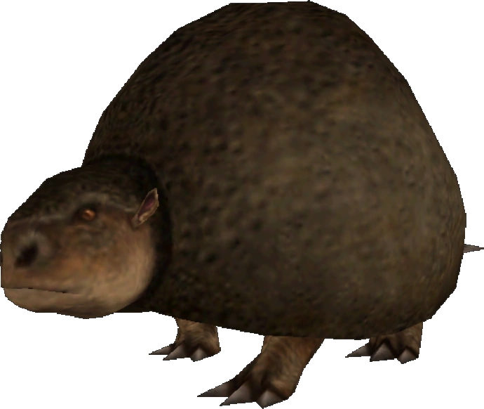 Panochthus (FMM UV-32) Blank Meme Template