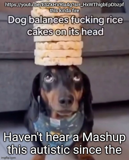 https://youtu.be/ESZkHVRla4g?si=_HxWThigbEpDbzpf | https://youtu.be/ESZkHVRla4g?si=_HxWThigbEpDbzpf this kinda fire; Haven't hear a Mashup this autistic since the | image tagged in dog balances rice cakes on its head | made w/ Imgflip meme maker