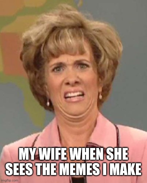 Disgusted Kristin Wiig | MY WIFE WHEN SHE SEES THE MEMES I MAKE | image tagged in disgusted kristin wiig | made w/ Imgflip meme maker