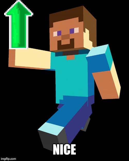 steve up vote | NICE | image tagged in steve up vote | made w/ Imgflip meme maker