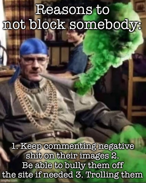 Waltuh | Reasons to not block somebody:; 1. Keep commenting negative shit on their images 2. Be able to bully them off the site if needed 3. Trolling them | image tagged in waltuh,msmg | made w/ Imgflip meme maker