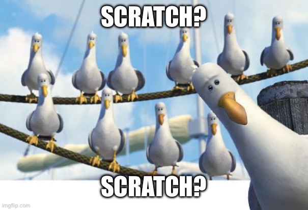 BIRDS | SCRATCH? SCRATCH? | image tagged in birds | made w/ Imgflip meme maker