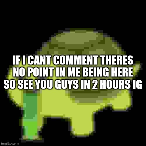 Low Quality Barfing Turtle | IF I CANT COMMENT THERES NO POINT IN ME BEING HERE SO SEE YOU GUYS IN 2 HOURS IG | image tagged in low quality barfing turtle | made w/ Imgflip meme maker