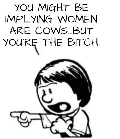Susie yelling at Calvin | YOU MIGHT BE IMPLYING WOMEN ARE COWS...BUT YOU'RE THE BITCH. | image tagged in susie yelling at calvin | made w/ Imgflip meme maker