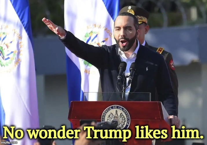 Bukele and Musk converse in German.when they think no one's listening. | No wonder Trump likes him. | image tagged in bukele,dictator,fascist,hitler,sieg heil | made w/ Imgflip meme maker