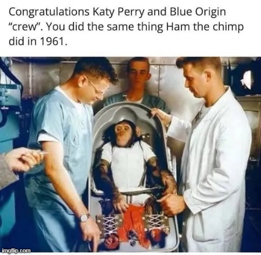Well sure, but HAM was NOT a Woman ! | image tagged in chimp space blue origin meme | made w/ Imgflip meme maker
