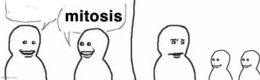 mitosis | made w/ Imgflip meme maker