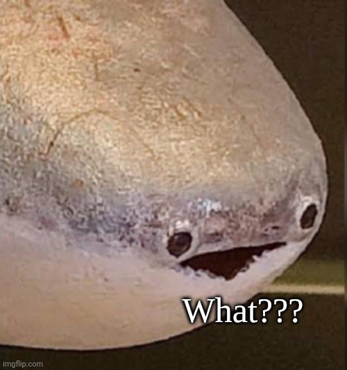 Rate this reaction temp i made. | image tagged in what | made w/ Imgflip meme maker