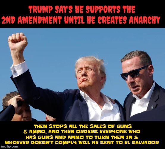 Trump trashes the 2nd Amendment | image tagged in trump trashes the 2nd amendment,trump's anarchy,trump goon squads,maga monarchy,putin copycat,antichrist liar | made w/ Imgflip meme maker