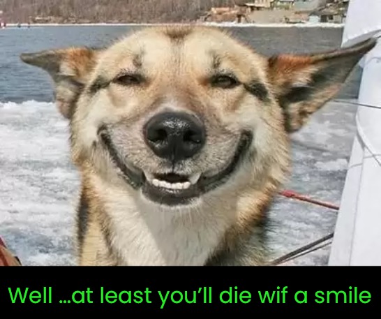 Well …at least you’ll die wif a smile | made w/ Imgflip meme maker