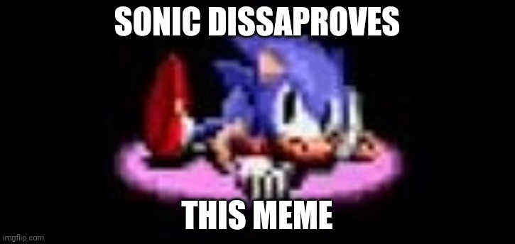 Sonic dissaproves | SONIC DISSAPROVES THIS MEME | image tagged in sonic dissaproves | made w/ Imgflip meme maker