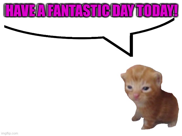 HAVE A FANTASTIC DAY TODAY! HAVE A FANTASTIC DAY TODAY! | made w/ Imgflip meme maker