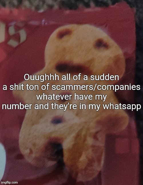 Cookie | Ouughhh all of a sudden a shit ton of scammers/companies whatever have my number and they're in my whatsapp | image tagged in cookie | made w/ Imgflip meme maker