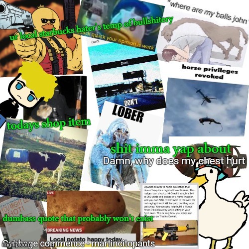 temp of bullshitery | Damn, why does my chest hurt; Cabbage commence - martincitopants | image tagged in temp of bullshitery | made w/ Imgflip meme maker