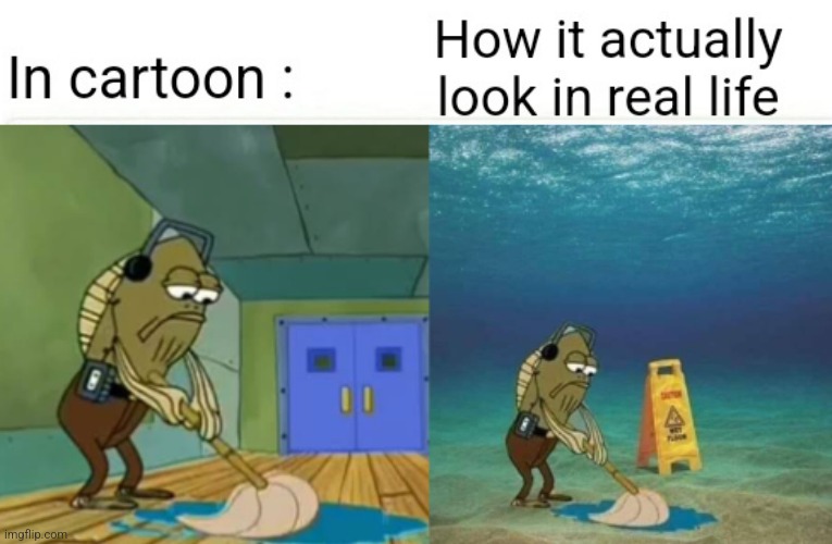 Fred mop cartoon vs real life | image tagged in memes | made w/ Imgflip meme maker