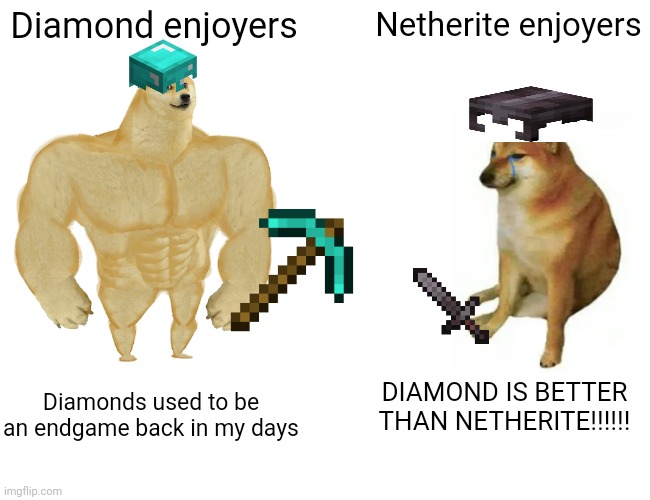 IDKKKK | Diamond enjoyers; Netherite enjoyers; DIAMOND IS BETTER THAN NETHERITE!!!!!! Diamonds used to be an endgame back in my days | image tagged in memes,buff doge vs cheems | made w/ Imgflip meme maker