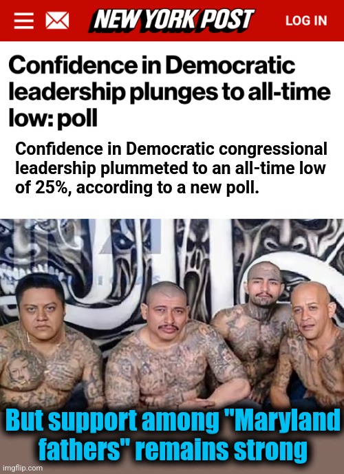 Confidence in Democratic congressional
leadership plummeted to an all-time low
of 25%, according to a new poll. But support among "Maryland
fathers" remains strong | image tagged in memes,democrats,poll,support,illegal immigrants,gang members | made w/ Imgflip meme maker