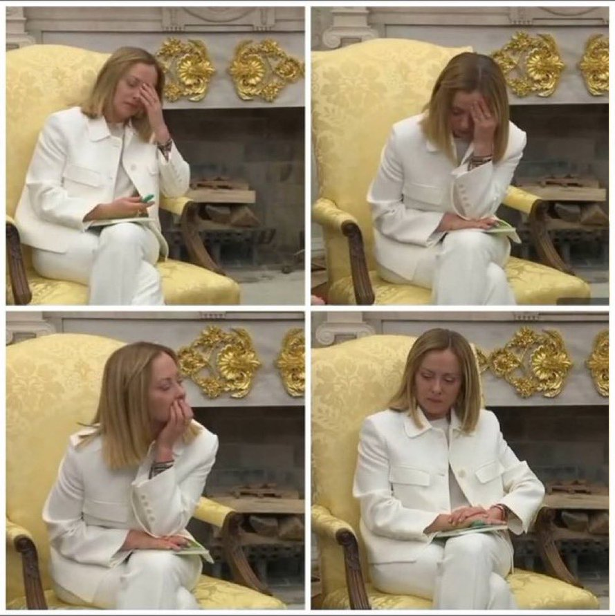Meloni Four Stages of Regret Blank Meme Template
