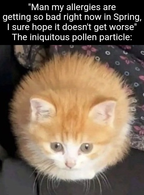 "Man my allergies are getting so bad right now in Spring, I sure hope it doesn't get worse"
The iniquitous pollen particle: | made w/ Imgflip meme maker