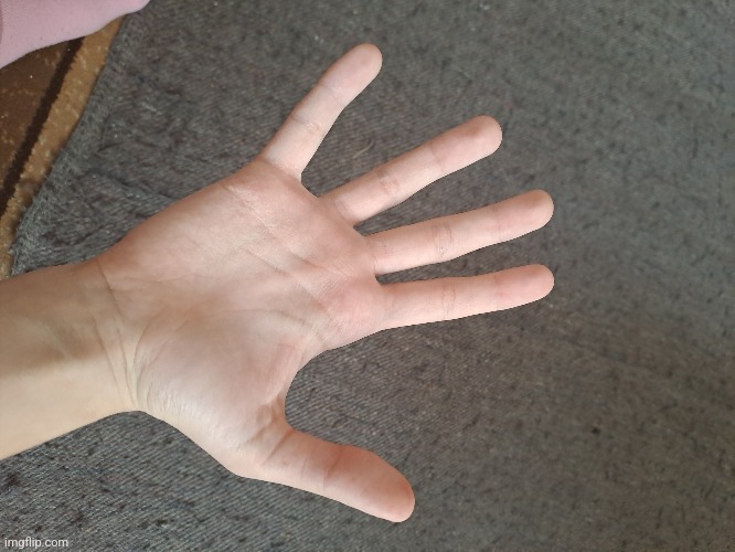 I love having large hands, i have potential to be rachmaninoff | made w/ Imgflip meme maker