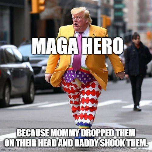 The Orange Clown | MAGA HERO; BECAUSE MOMMY DROPPED THEM ON THEIR HEAD AND DADDY SHOOK THEM. | image tagged in the orange clown | made w/ Imgflip meme maker