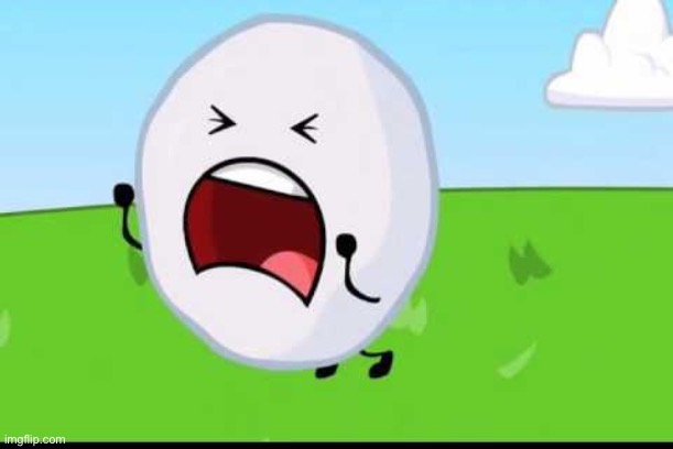 BFDI Snowball NOOOOO | image tagged in bfdi snowball nooooo | made w/ Imgflip meme maker