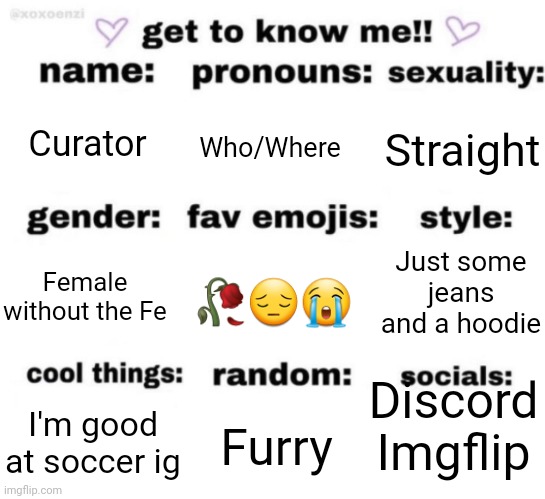 Puh. | Curator; Who/Where; Straight; Just some jeans and a hoodie; 🥀😔😭; Female without the Fe; Discord
Imgflip; Furry; I'm good at soccer ig | image tagged in get to know me but better | made w/ Imgflip meme maker