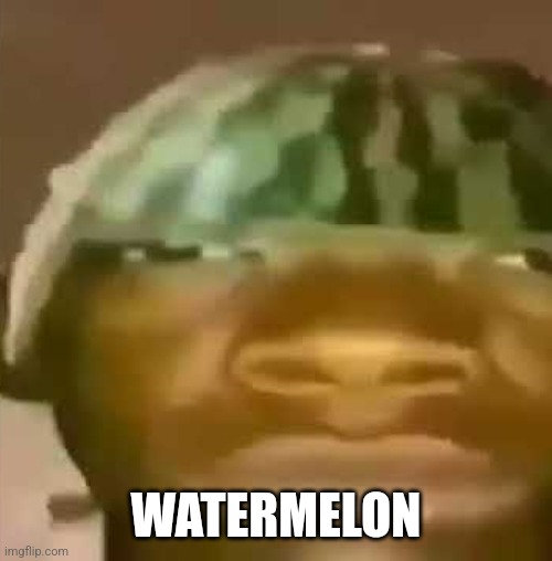 shitpost | WATERMELON | image tagged in shitpost | made w/ Imgflip meme maker