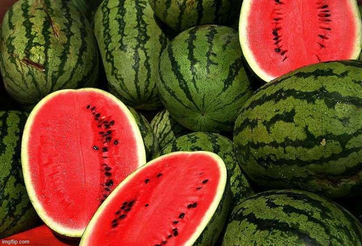 BardockSuperSaiyan | image tagged in watermelons | made w/ Imgflip meme maker
