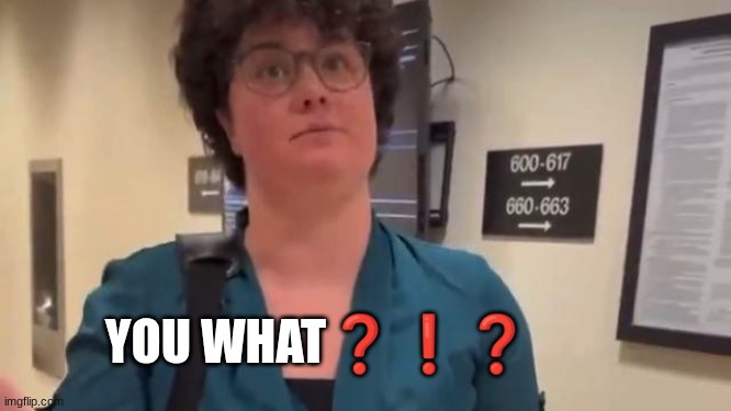 YOU WHAT❓❗❓ | made w/ Imgflip meme maker