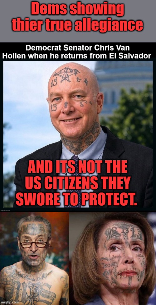 Dems show true allegeiance & its not the US citizens | Dems showing thier true allegiance; AND ITS NOT THE US CITIZENS THEY SWORE TO PROTECT. | made w/ Imgflip meme maker