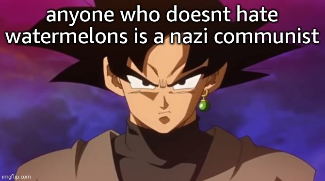 Goku Black | anyone who doesnt hate watermelons is a nazi communist | image tagged in goku black | made w/ Imgflip meme maker