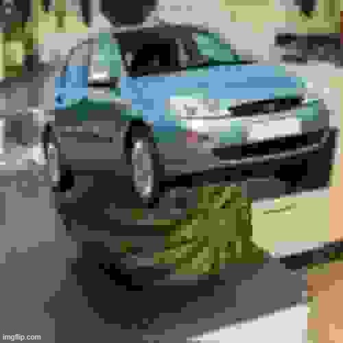 FocusMelon | image tagged in focusmelon | made w/ Imgflip meme maker