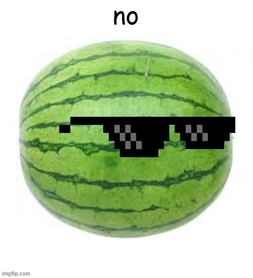 bardok trigger temp | no | image tagged in bardok trigger temp | made w/ Imgflip meme maker