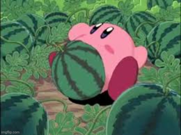 Not watermelon kirby | image tagged in not watermelon kirby | made w/ Imgflip meme maker