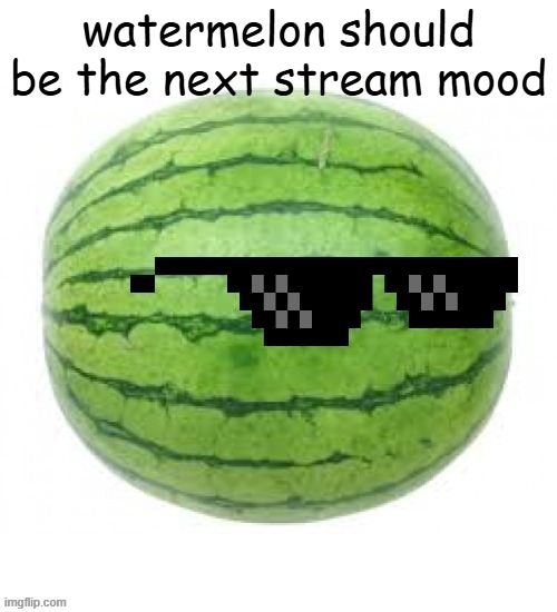 bardok trigger temp | watermelon should be the next stream mood | image tagged in bardok trigger temp | made w/ Imgflip meme maker