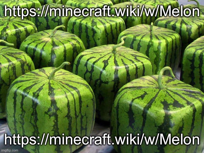 https://minecraft.wiki/w/Melon | https://minecraft.wiki/w/Melon; https://minecraft.wiki/w/Melon | image tagged in minecraft melons | made w/ Imgflip meme maker