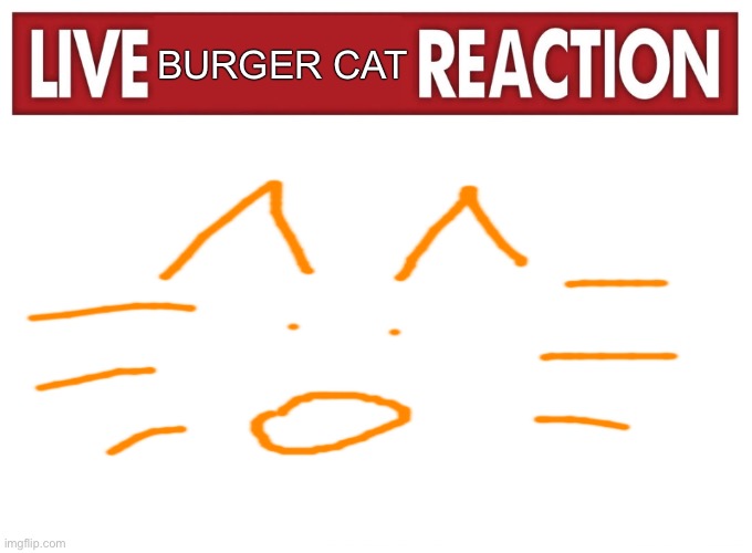 Live reaction | BURGER CAT | image tagged in live reaction | made w/ Imgflip meme maker