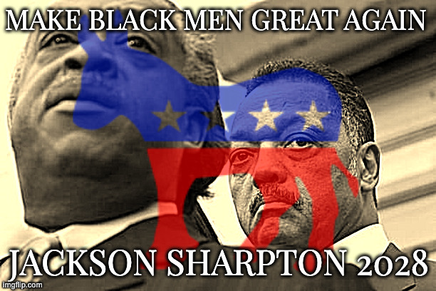 Dems Need a Reset | MAKE BLACK MEN GREAT AGAIN; JACKSON SHARPTON 2028 | image tagged in joke,what if,who knows it could work,sharpton and jackson | made w/ Imgflip meme maker