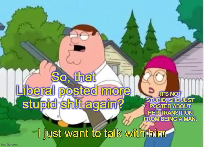 I just want to talk with him | So, that Liberal posted more stupid sh!t again? IT'S NOT STUPID, SHE JUST POSTED ABOUT HER TRANSITION FROM BEING A MAN. | image tagged in i just want to talk with him | made w/ Imgflip meme maker