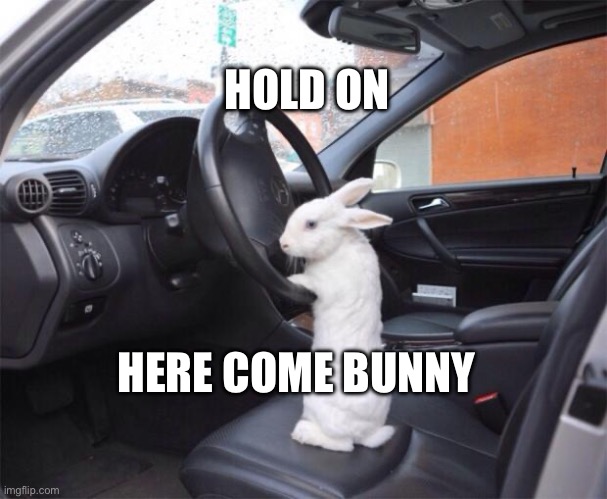 Bunny is in the car | HOLD ON; HERE COME BUNNY | image tagged in rabbit driver | made w/ Imgflip meme maker