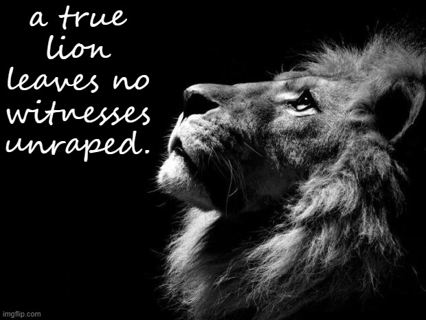 lion | a true lion leaves no witnesses unraped. | made w/ Imgflip meme maker