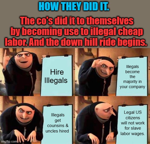 And thats the truth, enjoy | HOW THEY DID IT. The co's did it to themselves by becoming use to illegal cheap labor. And the down hill ride begins. Hire Illegals; Illegals become the majority in your company; Illegals get counsins & uncles hired; Legal US citizens will not work for slave labor wages. | image tagged in memes,gru's plan | made w/ Imgflip meme maker