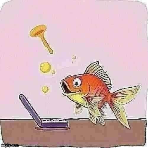 Goldfish cheering at flip phone | image tagged in goldfish cheering at flip phone | made w/ Imgflip meme maker