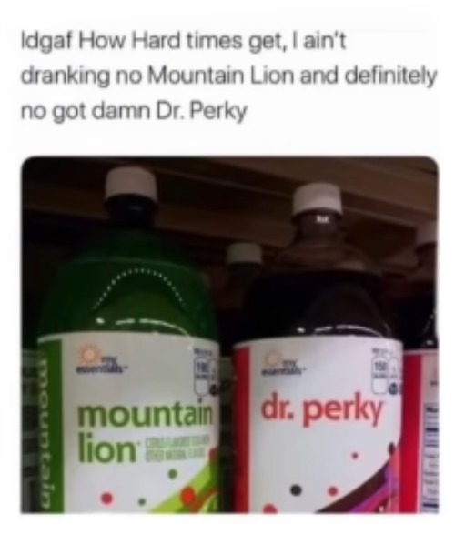 . | image tagged in mountain lion and dr perky | made w/ Imgflip meme maker