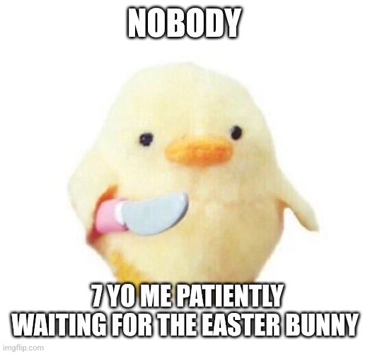 What bunny meat is good | NOBODY; 7 YO ME PATIENTLY WAITING FOR THE EASTER BUNNY | image tagged in duck with knife | made w/ Imgflip meme maker