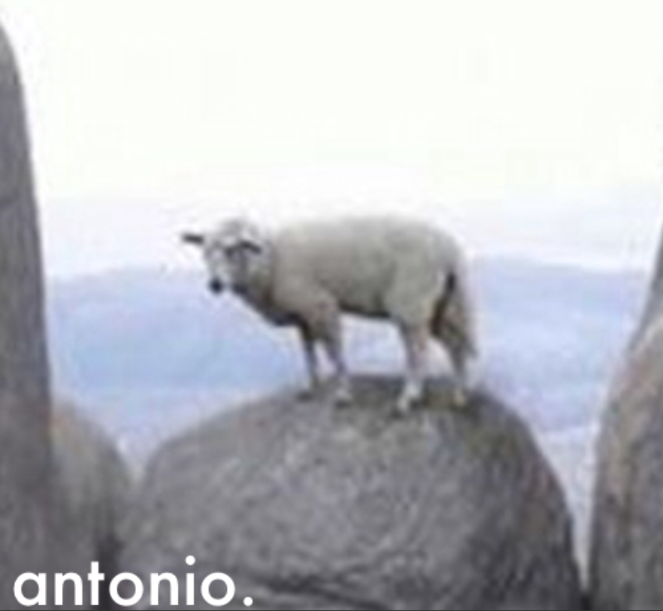 antonio Blank Meme Template