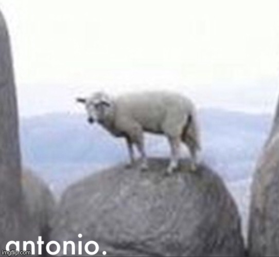 antonio | image tagged in antonio | made w/ Imgflip meme maker